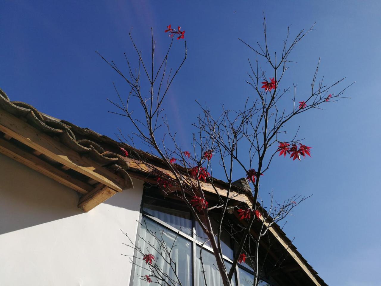 Yan Qi Si He Homestay Kunming Eksteriør bilde